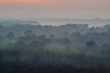 Mystical view from top on forest under haze at early morning. Mist among layers from tree silhouettes in taiga under predawn sky. Calm morning atmospheric minimalistic landscape of majestic nature.