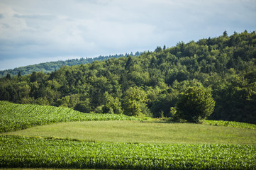 Fototapeta na wymiar Slovenia: natura, paesaggio, energia verde, prati verdi, alberi e terre coltivate nella campagna slovena