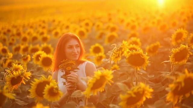 Red-haired girl at sunset in a field with a sunflower