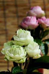 Set of lotus and green leaves in plastic cup and wet oasis on wood mat with space for write wording, new lotus product design for making merit easily and serve customers convenience