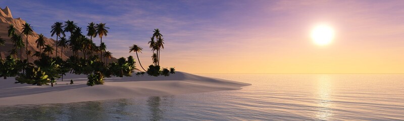 Panorama of a tropical island at sunset. Sunset on the sea shore with palm trees.
3D rendering

