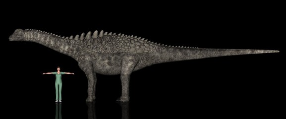 恐竜縮尺図・アンペロサウルス © Galileo-Giken