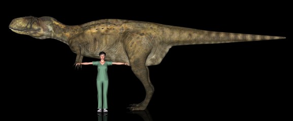 恐竜縮尺図・アベリサウルス