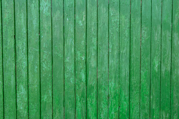 a wooden background of green color