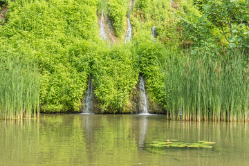 Fototapeta na wymiar Waterfalls flowing from the grown hill to the lake surrounded by reeds 