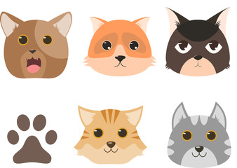 Cute cat face isolated on white background