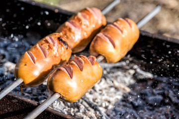 Kebab on the skewers cook on the grill