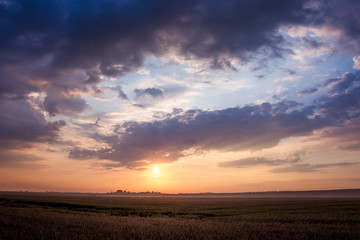 Naklejka na ściany i meble Sunrise or sunset over the field in the summer. Dark dramatic clouds over the field in the morning during the sunrise_