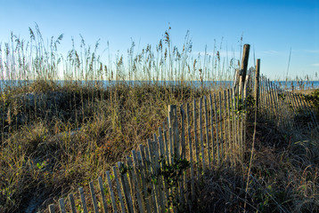 Grassy Sand Dune and Weathered Wooden Fence at the Beach