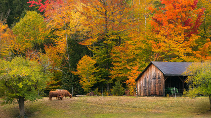 Fall Farm in New England © Tobias
