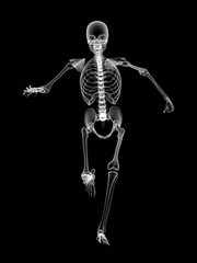 X RAY SKELETON 3D RENDER
