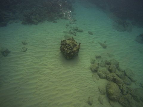 A capped pipe surrounded by sand in the tropical waters of Oahu, Hawaii, with coral growing on it, and bubbles leaking out.