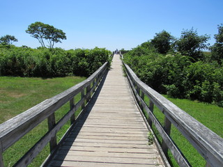 Fototapeta na wymiar A wooden walkway leading to the ocean 
