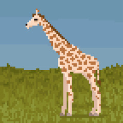 Obraz premium Pixel giraffe on a grass. 8 bit vector illustration