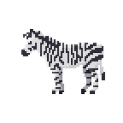Pixel zebra isolated on white background. Vector illustration