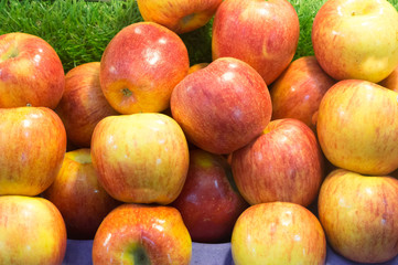 Naklejka na ściany i meble a group of ripe apples on sale