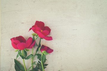 Fresh red peony flowers on white wooden background, retro toned