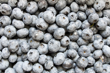 Fresh blueberries. Blueberry background. The concept of natural food. Close up