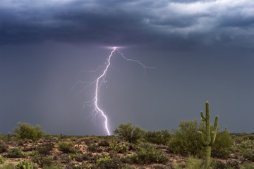 Naklejka na ściany i meble Lightning bolt strikes from a monsoon thunderstorm in the Arizona desert.