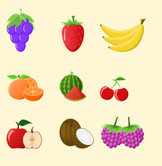 fruit design  white background vector illustration