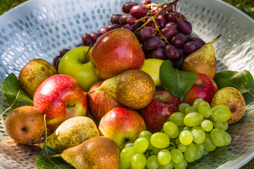 Fruit in a bowl - apples, pears and grapes