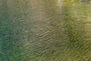 Agua cristalina de colores verde y amarillo con pequeñas olas. Ideal para utilizar como imagen de fondo