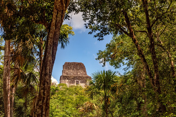 Tikal, Mayan Ruins, Temple IV, Guatemala
