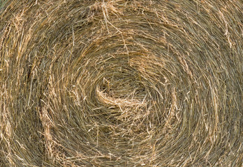 Close up photo of round hay bale, showing golden brown, rustic texture and detail. Rough textured surface with stalks going in a circle. 