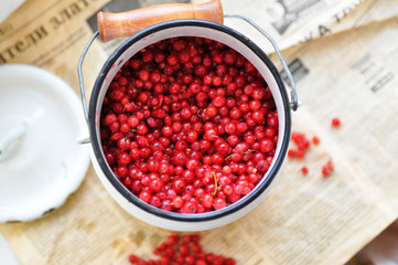 harvest of red currant in an iron can on the background of an old newspaper