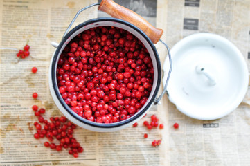 harvest of red currant in an iron can on the background of an old newspaper