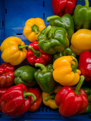 It's a photo of red, yellow and green bell peppers in close up in a blue basket or crate in a supermarket. - 214122545