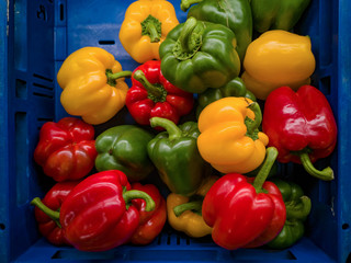 It's a photo of red, yellow and green bell peppers in close up in a blue basket or crate in a supermarket. - 214122582