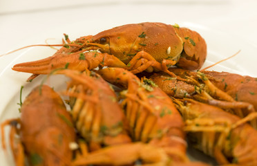 Boiled crayfish on a white plate.