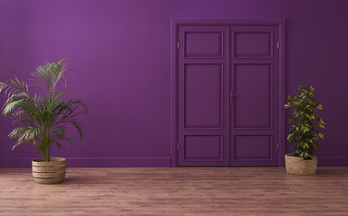modern purple room with classic door and vase of plant