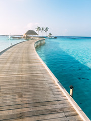 Maldives island luxury resort wooden pier