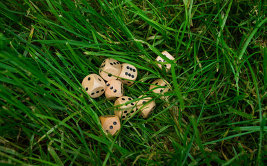 bones on the playing field. The concept of gambling. Business Still life. to win the score. game cubes on the green young grass. young lawn