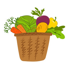 Fresh vegetables in basket isolated on white. Basket with vegetables cartoon vector illustration.