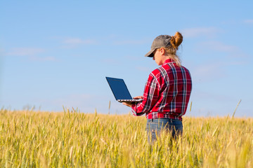 Girl farmer standing in a wheat field with a laptop.
