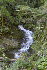 Fototapeta premium Mountain Waterfall Springs From Underground