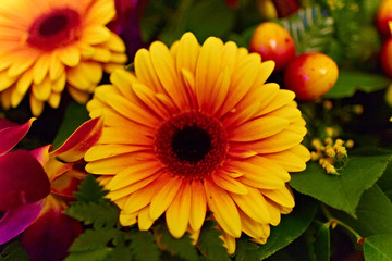 beautiful yellow flower