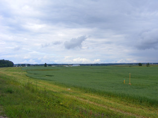 Rural Summer Landscape with Village Field in Belarus