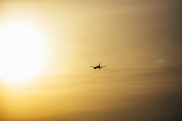 Aircraft flight at sunset