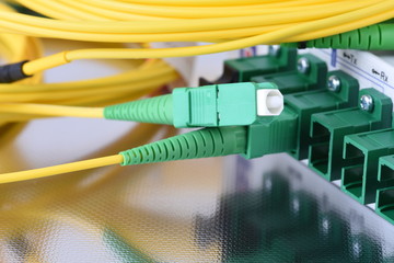 Fiber optical network cables connected to equipment in data center