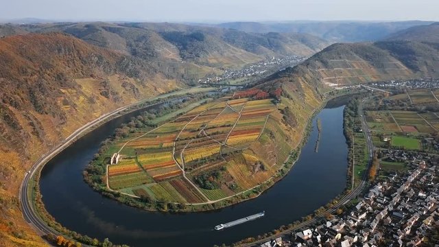 Flight over autumn Bremm vineyards and Mosel river meander, Germany.