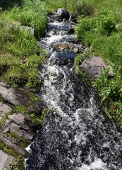 small stream  with rocks  on a hill in a lush meadow