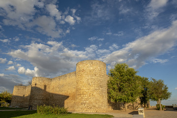 Real Alcazar de Toro, Zamora