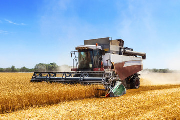 Obraz premium Harvester machine to harvest wheat field working. Combine harvester agriculture machine harvesting golden ripe wheat field. Agriculture