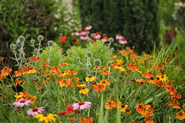 Perennial flower bed