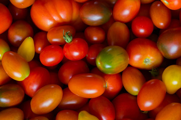 top view red, orange and green tomatoes