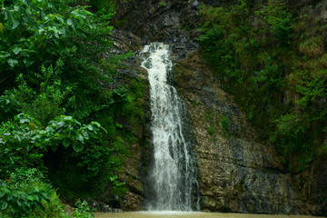beautiful high waterfall in the green jungle trees